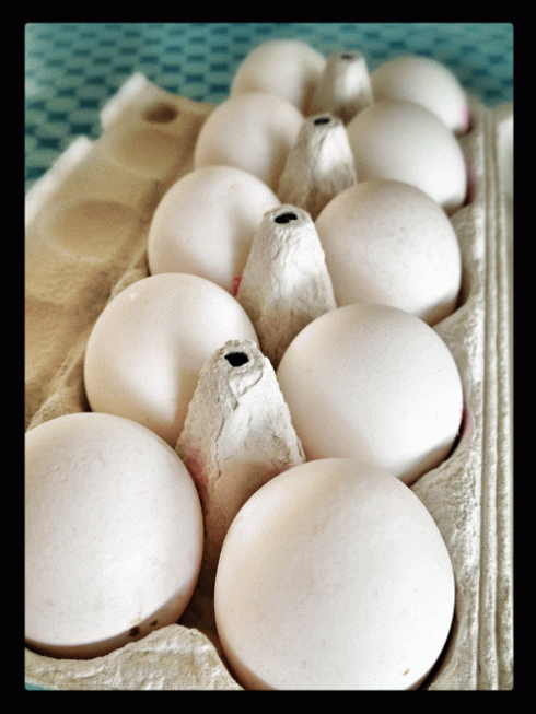 Danske æg